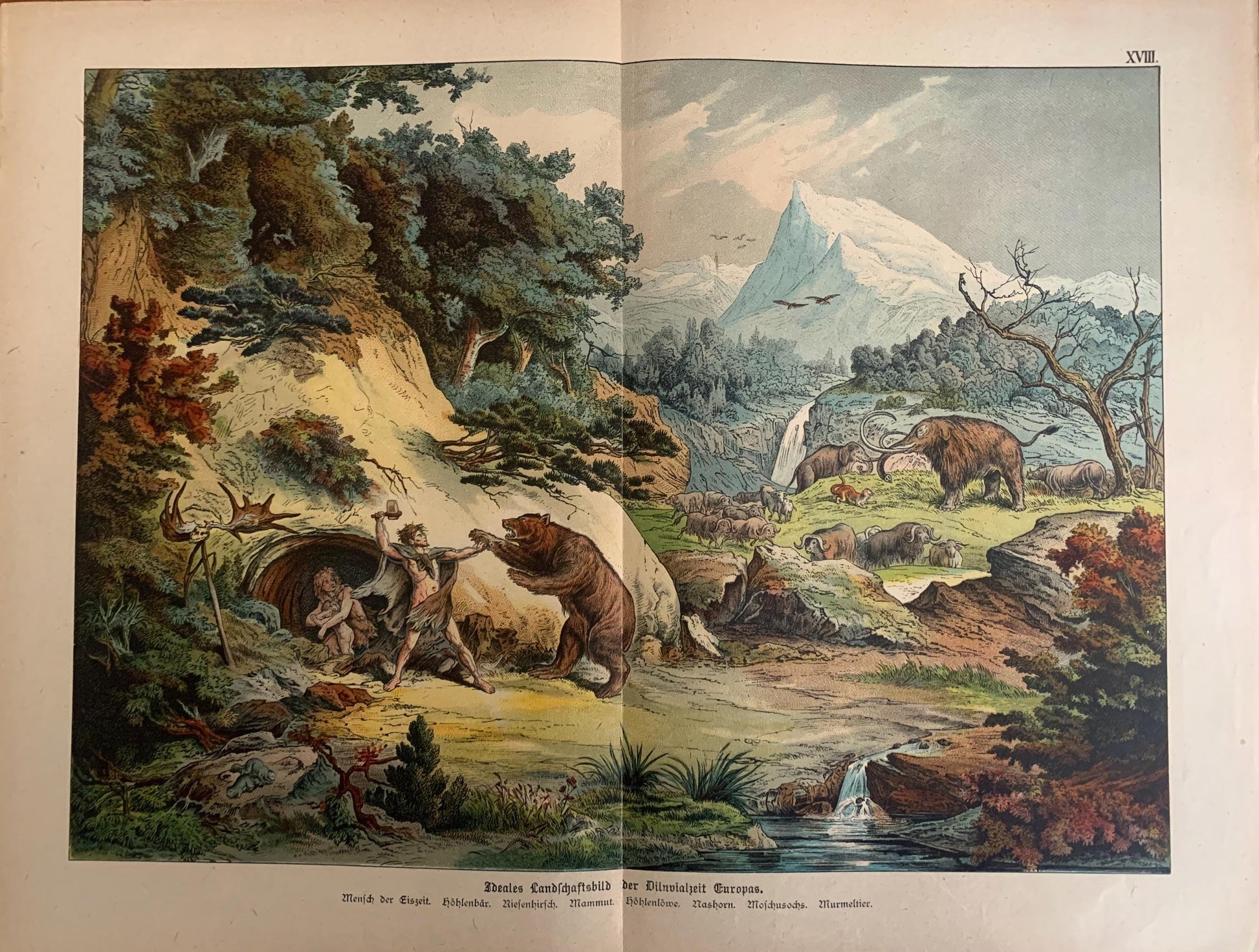 1878 PREHISTORIC MAN & ANIMALS Print - Pleistocene Epoch - Antique Paleoart - Mammoth Wall Art - Cave Bear, Neanderthal - 16.5 x 12.5 Inches