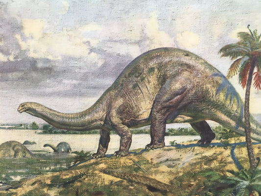1960 BRONTOSAURUS DINOSAUR Print - Prehistoric Animals Print - Paleoart - Dinosaur Decoration - 63 Years Old - 13.5 x 9.75 Inches