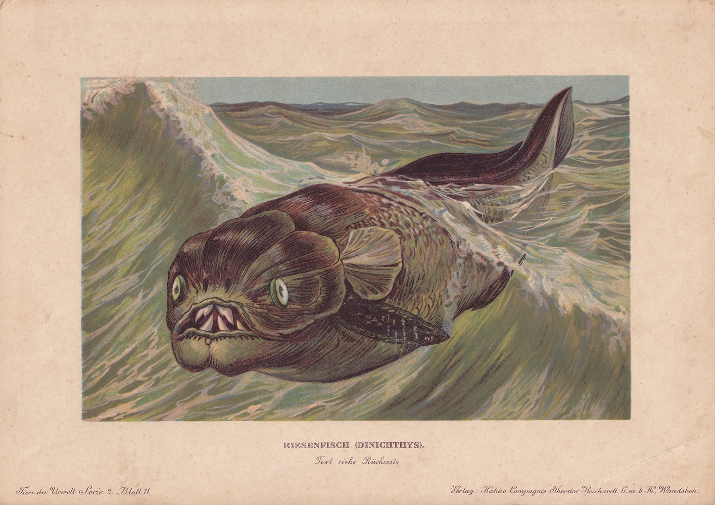 1902 DINICHTHYS Print - Placoderm Fish - Paleoart - Prehistoric Animals Wall Art - Antique Dinosaur - 10.5 x 7.5 Inches