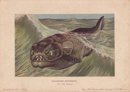 1902 DINICHTHYS Print - Placoderm Fish - Paleoart - Prehistoric Animals Wall Art - Antique Dinosaur - 10.5 x 7.5 Inches