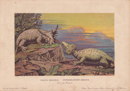 1902 PAREIASAUR & RHYNOCHOSAUR Print - Jurassic - Paleoart - Prehistoric Animals Wall Art - Antique Dinosaur - 10.5 x 7.5 Inc