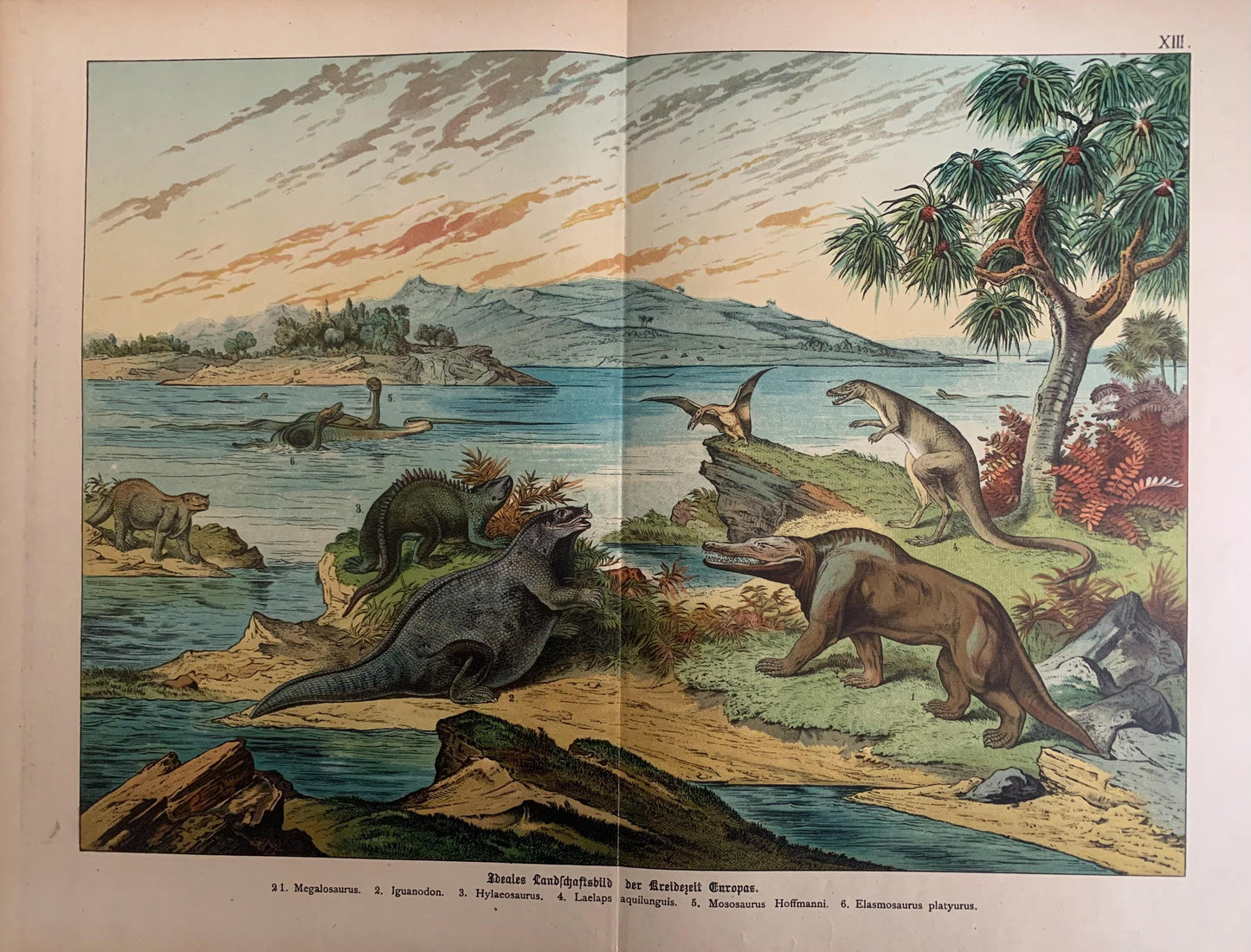 1878 DINOSAUR Print - Cretaceous Period - Antique Paleoart - Dinosaur Wall Art - Duria Antiquior - 16.5 x 12.5 Inches