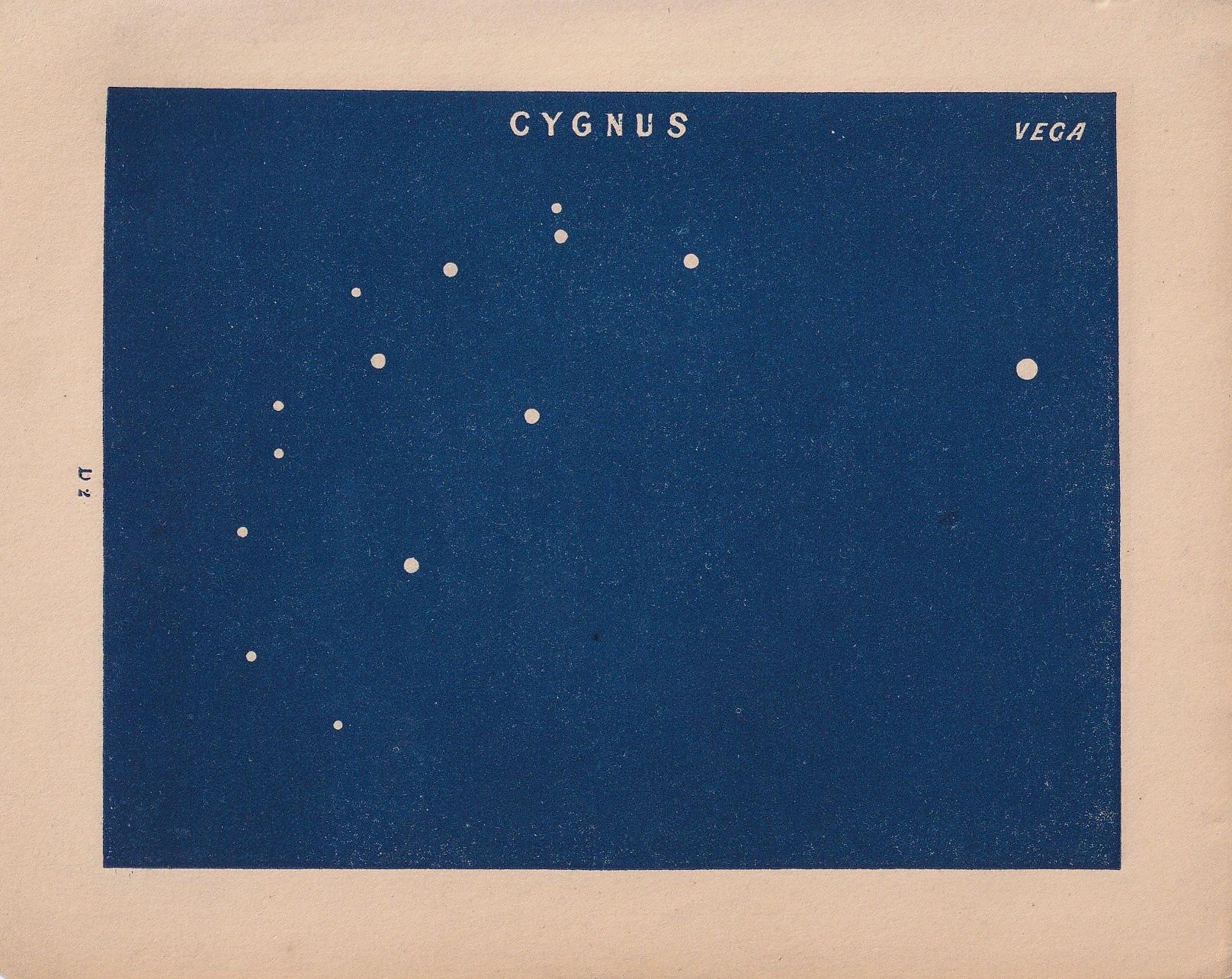 1900 STAR MAP Print - CYGNUS - Constellations Wall Art - Antique Astronomy Decor - Vintage - 4.5 x 5.5 Inches