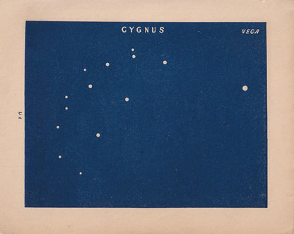 1900 STAR MAP Print - CYGNUS - Constellations Wall Art - Antique Astronomy Decor - Vintage - 4.5 x 5.5 Inches