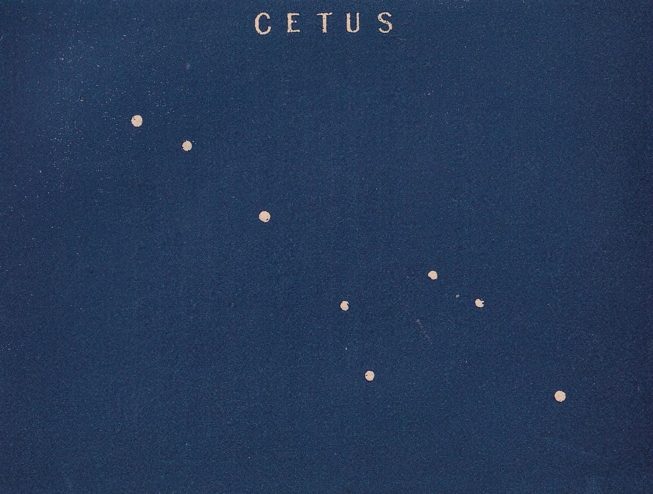 1900 STAR MAP Print - CETUS - Constellations Wall Art - Antique Astronomy Decor - Vintage - 4.5 x 5.5 Inches