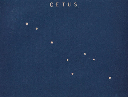 1900 STAR MAP Print - CETUS - Constellations Wall Art - Antique Astronomy Decor - Vintage - 4.5 x 5.5 Inches