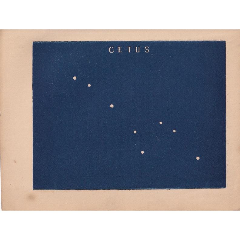 1900 STAR MAP Print - CETUS - Constellations Wall Art - Antique Astronomy Decor - Vintage - 4.5 x 5.5 Inches
