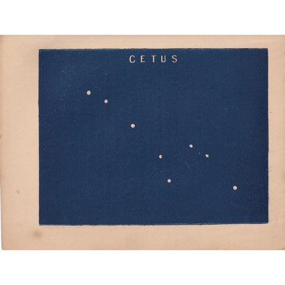 1900 STAR MAP Print - CETUS - Constellations Wall Art - Antique Astronomy Decor - Vintage - 4.5 x 5.5 Inches