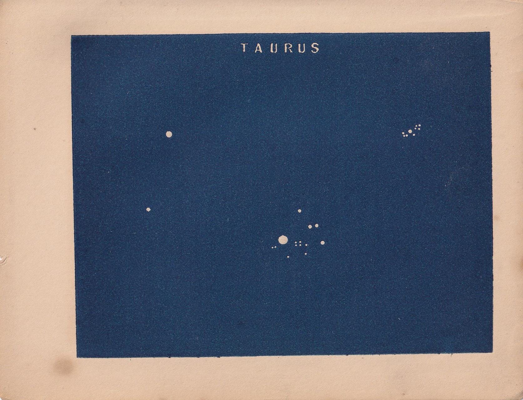 1900 STAR MAP Print - TAURUS - Constellations Wall Art - Antique Astronomy Decor - Vintage - 4.5 x 5.5 Inches