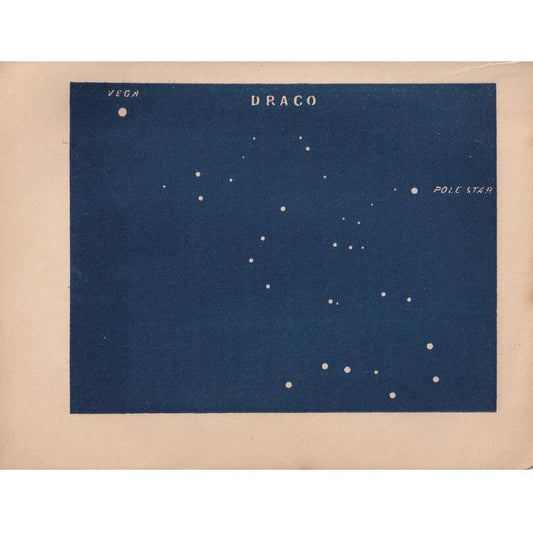 1900 STAR MAP Print - DRACO - Constellations Wall Art - Antique Astronomy Decor - Vintage - 4.5 x 5.5 Inches
