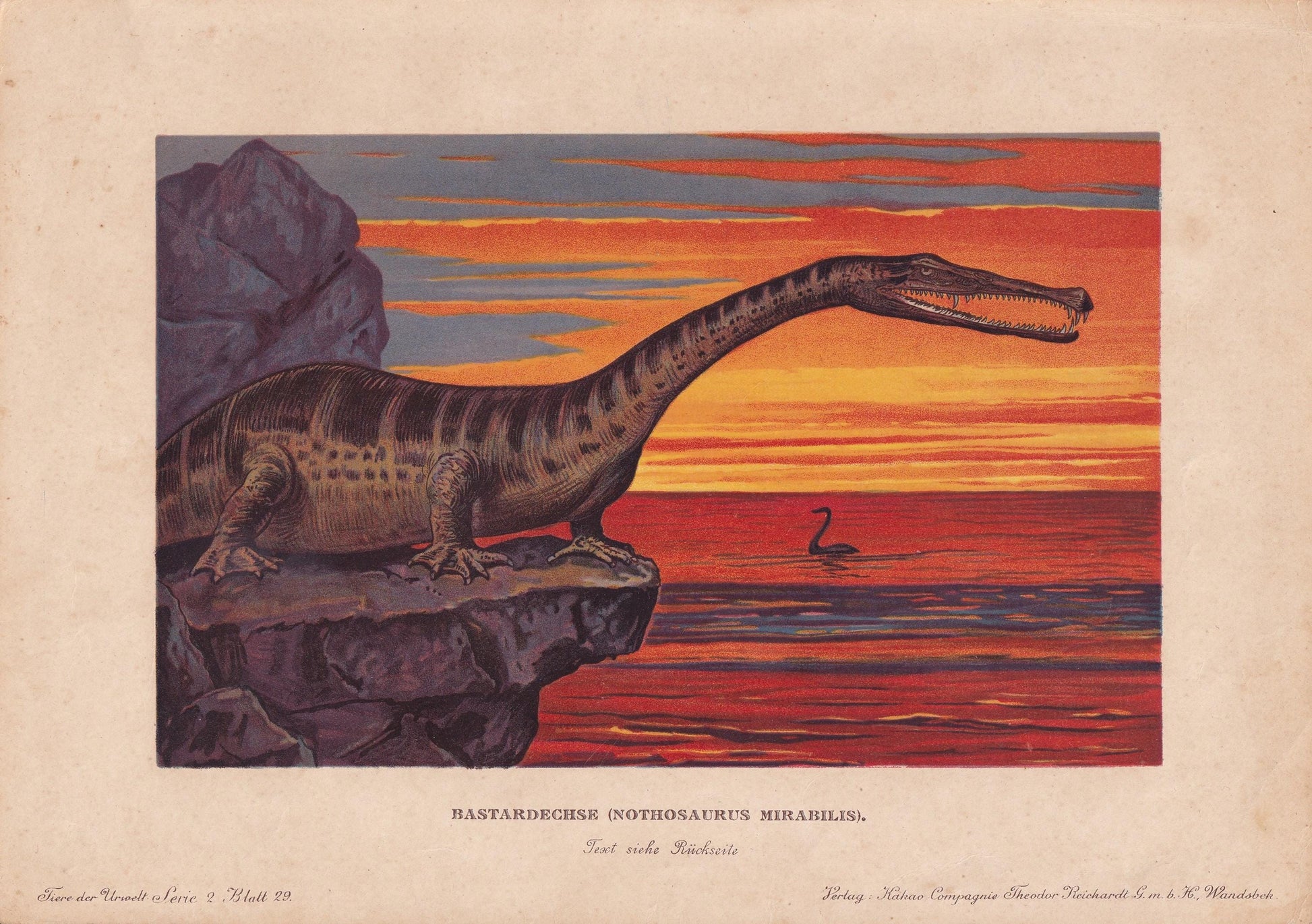 1902 NOTHOSAURUS MIRABILIS Print - Triassic Reptile - Paleoart - Prehistoric Animals Wall Art - Dinosaur - 10.5 x 7.5 Inches