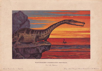 1902 NOTHOSAURUS MIRABILIS Print - Triassic Reptile - Paleoart - Prehistoric Animals Wall Art - Dinosaur - 10.5 x 7.5 Inches