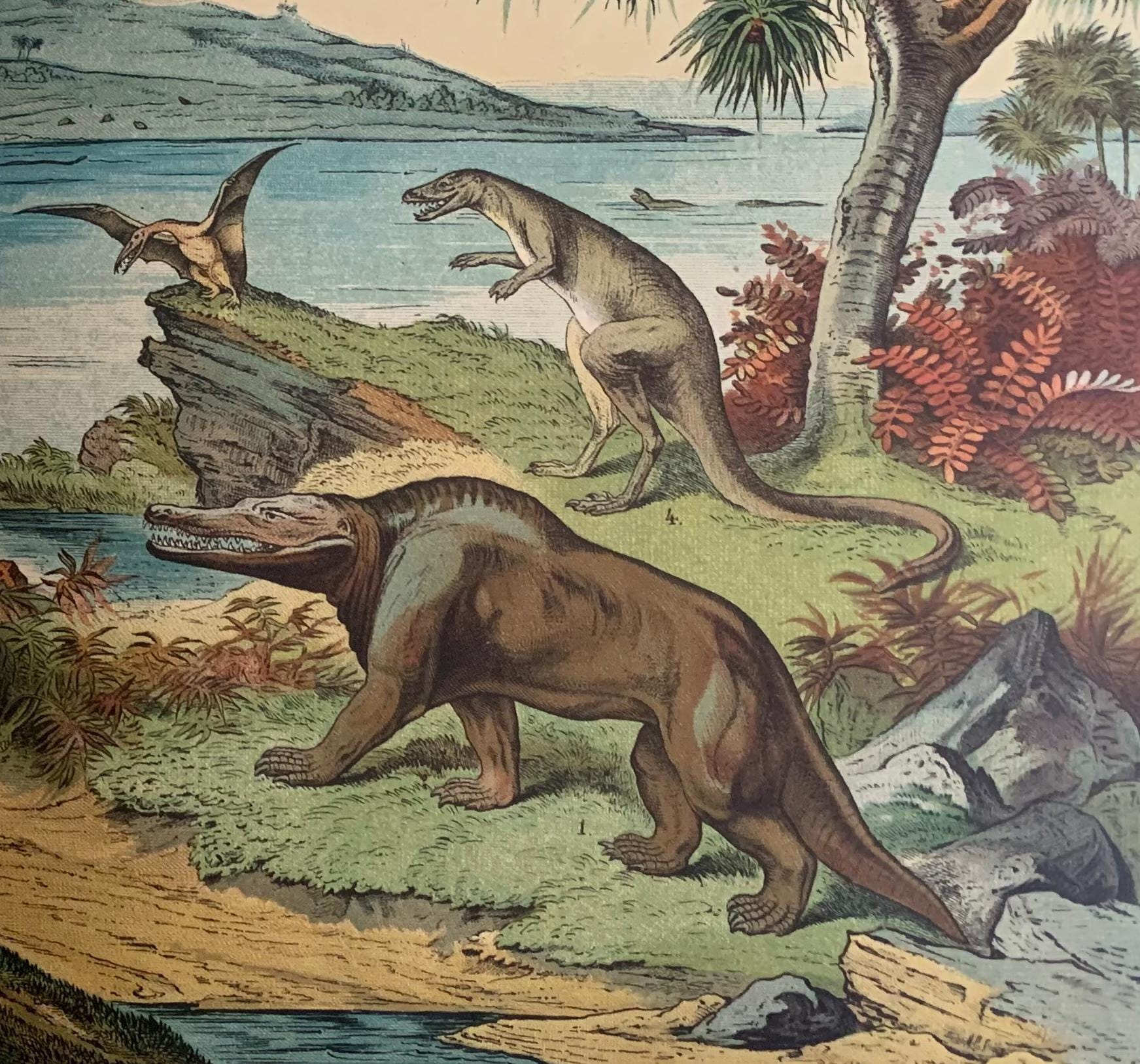 1878 DINOSAUR Print - Cretaceous Period - Antique Paleoart - Dinosaur Wall Art - Duria Antiquior - 16.5 x 12.5 Inches