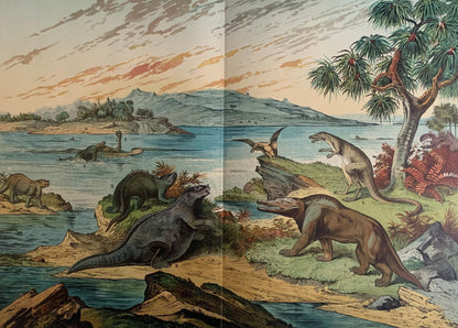 1878 DINOSAUR Print - Cretaceous Period - Antique Paleoart - Dinosaur Wall Art - Duria Antiquior - 16.5 x 12.5 Inches