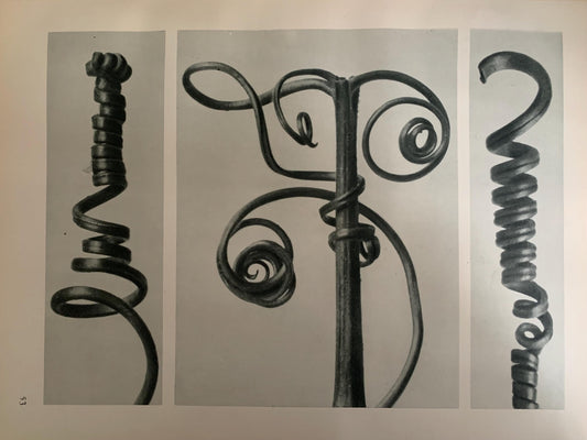 1929 Karl Blossfeldt Print - PUMPKIN TENDRILS Plant Study - Abstract Photogravure - Plant Tree - Botanical Wall Art - 9.5 x 12 Inch