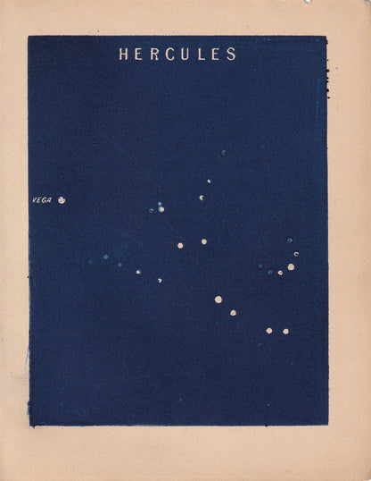 1900 STAR MAP Print - HERCULES - Constellations Wall Art - Antique Astronomy Decor - Original Vintage Print - 4.5 x 5.5 Inches