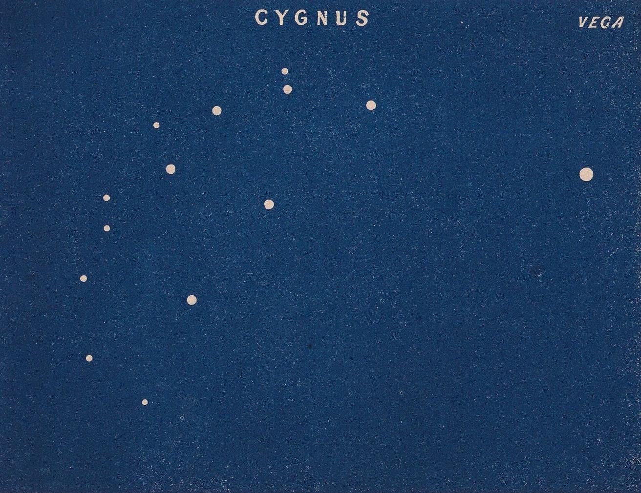 1900 STAR MAP Print - CYGNUS - Constellations Wall Art - Antique Astronomy Decor - Vintage - 4.5 x 5.5 Inches