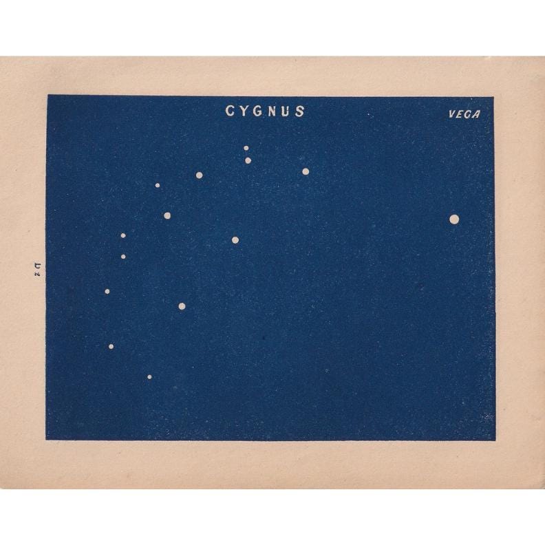 1900 STAR MAP Print - CYGNUS - Constellations Wall Art - Antique Astronomy Decor - Vintage - 4.5 x 5.5 Inches