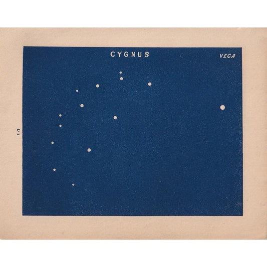 1900 STAR MAP Print - CYGNUS - Constellations Wall Art - Antique Astronomy Decor - Vintage - 4.5 x 5.5 Inches