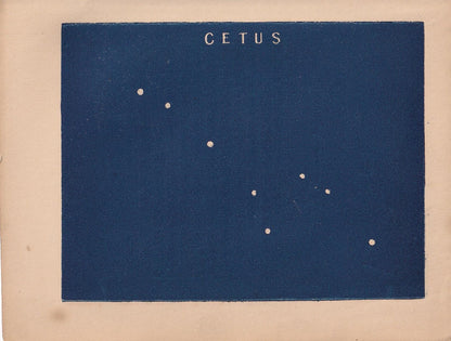 1900 STAR MAP Print - CETUS - Constellations Wall Art - Antique Astronomy Decor - Vintage - 4.5 x 5.5 Inches