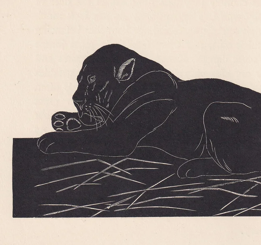 1929 LION Print Wood Engraving - Lion Wall Art - Antique Animal Print - 94 Years Old - 8 x 7.25 Inches