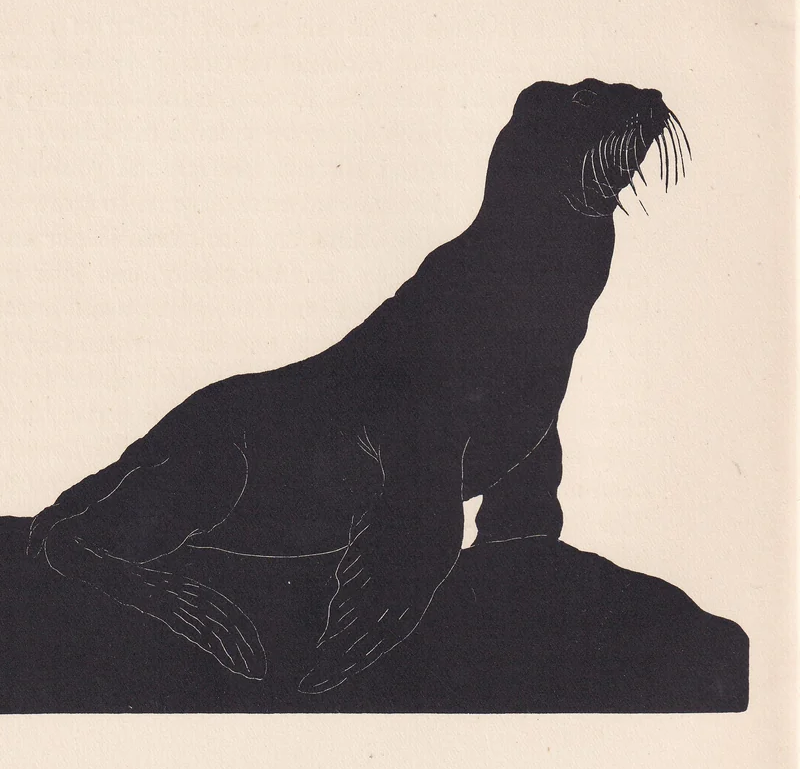 1929 SEA LION Print Wood Engraving - Sea Lion Wall Art - Zoology Print - Antique Animal Print - 94 Years Old - 8 x 7.25 Inches