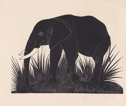1929 ELEPHANT Print Wood Engraving - Elephant Wall Art - Zoology Print - Antique Animal Print - 94 Years Old - 8 x 7.25 Inches