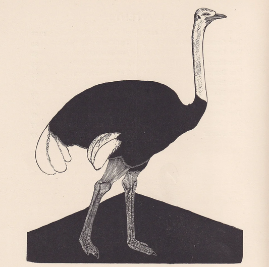 1929 OSTRICH Print Wood Engraving - Ostrich Wall Art - Animal Wood Engraving - Antique Animal Print - 95 Years Old - 7.25 x 8 Inches