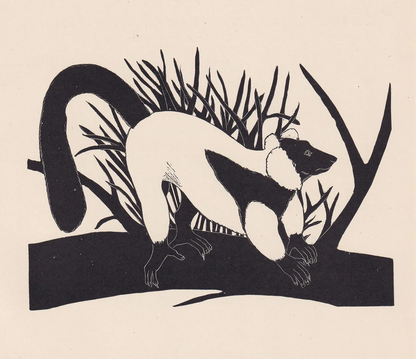 1929 RUFFED LEMUR Print Wood Engraving - Lemur Wall Art - Zoology Print - Wildlife - Antique Animal Print - 94 Years Old - 8 x 7.25 Inches