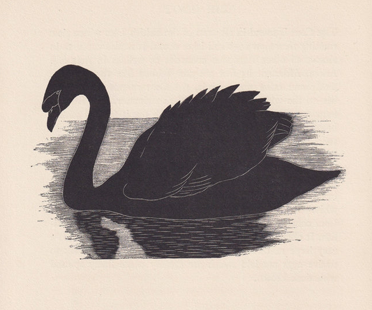 1929 SWAN BIRD Print Wood Engraving - Bird Wall Art - Bird Wood Engraving - Antique Animal Print - 95 Years Old - 7.15 x 7.75 Inches
