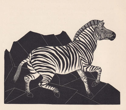 1929 ZEBRA Print Wood Engraving - Zebra Wall Art - Zoology Print - Antique Animal Print - 94 Years Old - 8 x 7.25 Inches