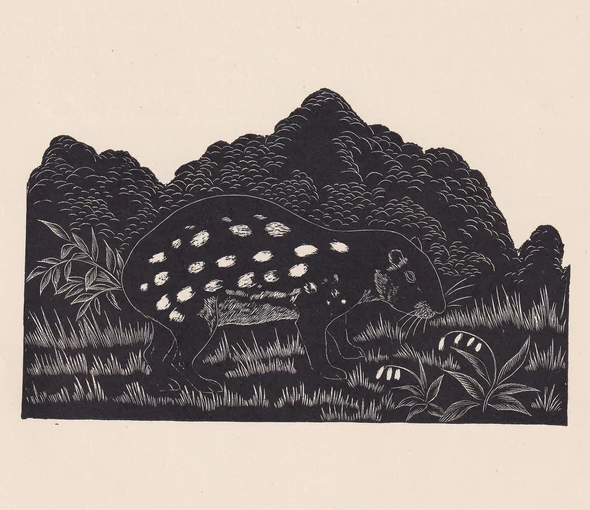 1929 PACA Print Wood Engraving - Paca Wall Art - Zoology Print - Wildlife - Antique Animal Print - 94 Years Old - 8 x 7.25 Inches