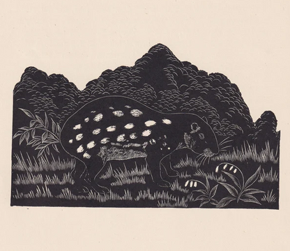 1929 PACA Print Wood Engraving - Paca Wall Art - Zoology Print - Wildlife - Antique Animal Print - 94 Years Old - 8 x 7.25 Inches