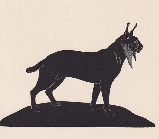 1929 LYNX Print Wood Engraving - Lynx Wall Art - Zoology Print - Wildlife - Antique Animal Print - 94 Years Old - 8 x 7.25 Inches