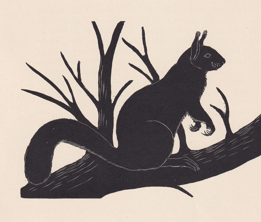 1929 RED SQUIRREL Print Wood Engraving - Squirrel Wall Art - Zoology Print - Antique Animal Print - 94 Years Old - 8 x 7.25 Inches